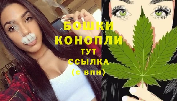 прущие грибы Видное