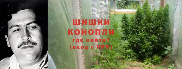 PSILOCYBIN Весьегонск