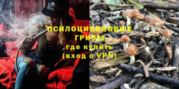 jwh Алзамай